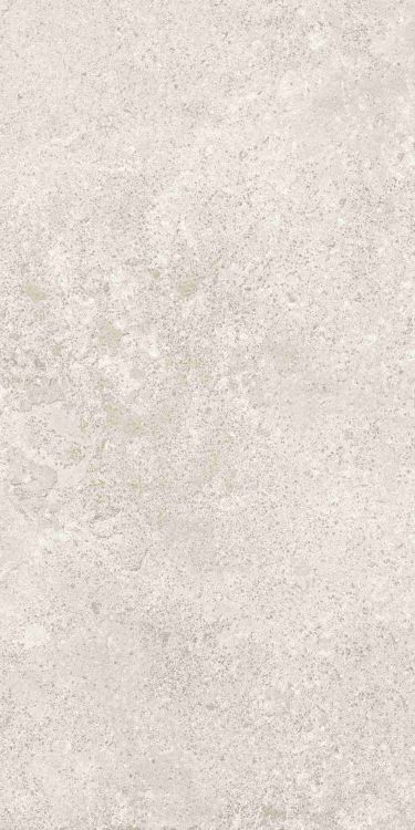 Petra Viva Natural Matte 12 x 24